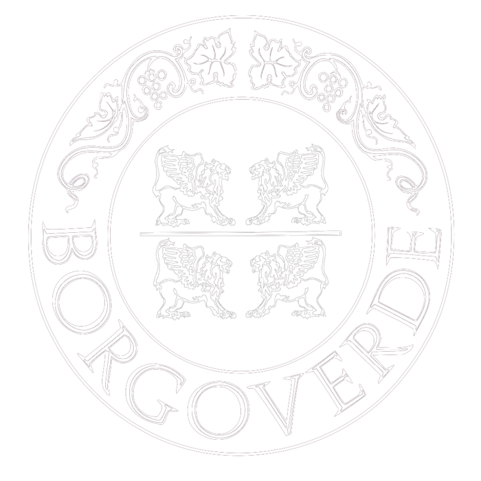 logoBVwhite logoBVwhite